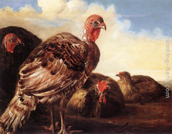 Domestic Fowl painting - Aelbert Cuyp Domestic Fowl art painting